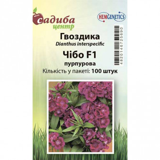 Гвоздика Чібо пурпурова F1 Садиба центр зображення 2