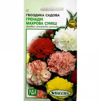 Гвоздика махрова Гренадін, суміш забарвлень Seedera зображення 3