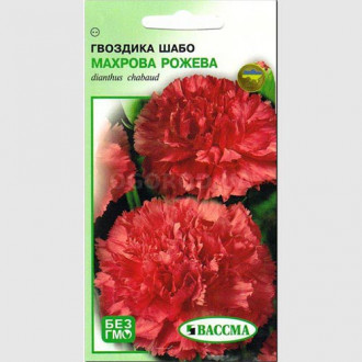 Гвоздика махровая Шабо розовая Seedera рисунок 4