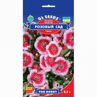 Гвоздика перистая Розовый сад GL Seeds рисунок 5