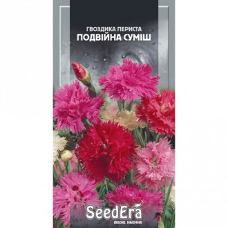 Гвоздика периста подвійна, суміш забарвлень Seedera зображення 1