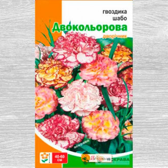 Гвоздика Шабо двоколірна, суміш забарвлень зображення 2