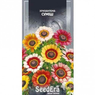 Хризантема, смесь окрасок Seedera рисунок 3