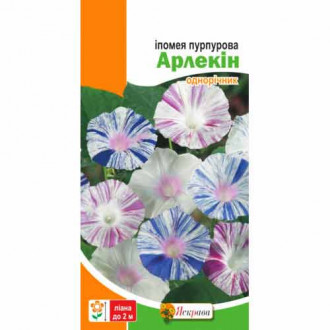 Іпомея Арлекін, суміш забарвлень Яскрава зображення 5