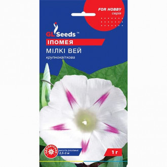 Ипомея Милки Вэй GL Seeds рисунок 2