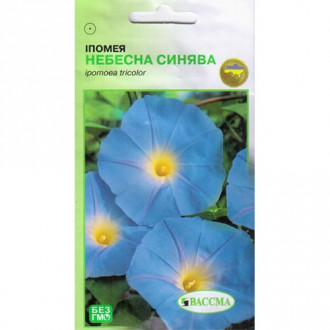 Іпомея Небесна синява Seedera зображення 6