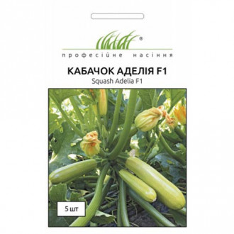 Кабачок Аделія F1 Професійне насіння зображення 1