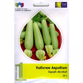 Кабачок Акробат Vinel seeds, насіння зображення 6