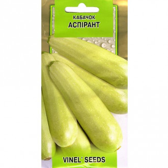 Кабачок Аспирант Vinel seeds рисунок 1