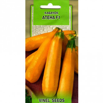 Кабачок Атена F1 Vinel seeds, семена рисунок 11