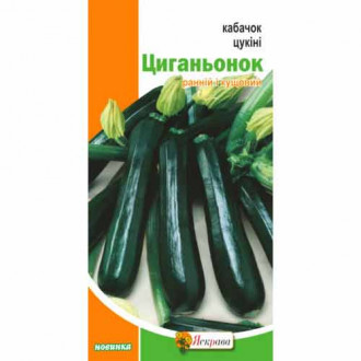 Кабачок цукіні Циганьонок Яскрава зображення 4