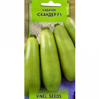 Кабачок Искандер F1 Vinel seeds рисунок 6