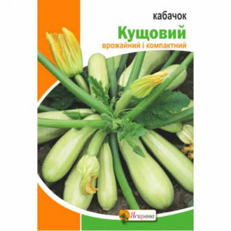 Кабачок Кустовой Яскрава рисунок 5