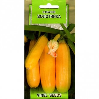 Кабачок Золотинка Vinel seeds, семена рисунок 6