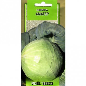 Капуста белокочанная Амагер 640 Vinel seeds рисунок 5