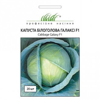 Капуста белокочанная Галакси F1 Профессиональные семена рисунок 2
