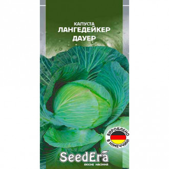 Капуста білокачанна Лангедейкер Дауер Seedera зображення 6