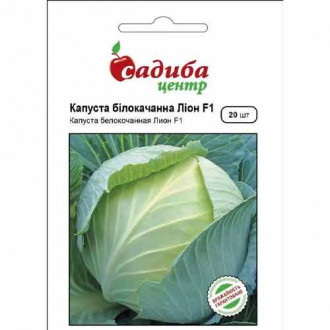 Капуста білокачанна Ліон F1 Садиба центр зображення 3