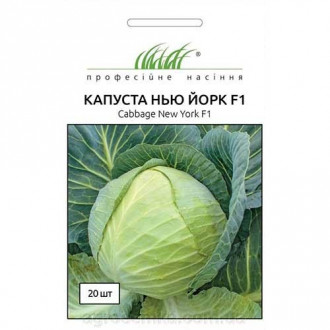 Капуста белокочанная Нью Йорк F1 Профессиональные семена рисунок 3