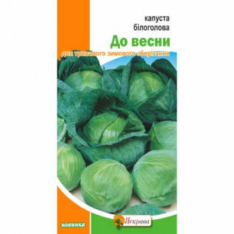 Капуста белокочанная До Весны Яскрава рисунок 5