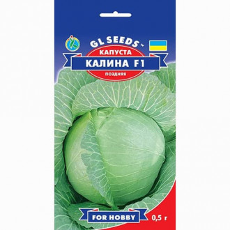 Капуста белокочанная Калина F1 GL Seeds рисунок 1