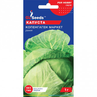 Капуста белокочанная Копенгаген маркет GL Seeds рисунок 6