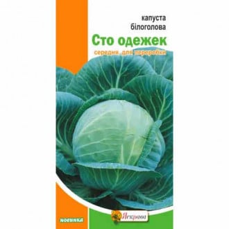 Капуста белокочанная Сто одежек Яскрава рисунок 5