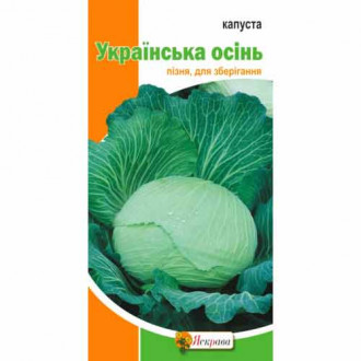 Капуста білокачанна Українська осiнь Яскрава зображення 1