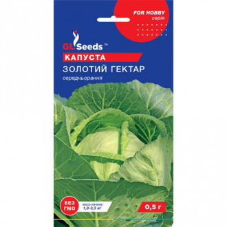 Капуста білокачанна Золотий гектар GL Seeds зображення 3