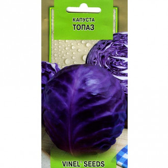 Капуста краснокочанная Топаз Vinel seeds рисунок 6