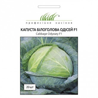 Капуста білокачанна Одісей F1 зображення 4