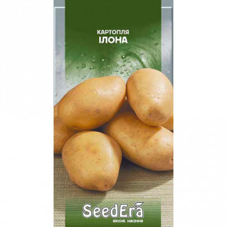 Картопля Ілона Seedera зображення 6