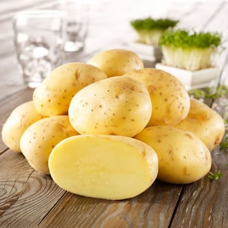 Який сорт картоплі розсипчастий?