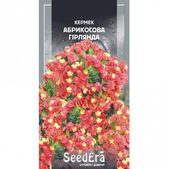 Кермек Гірлянда абрикосова Seedera зображення 17