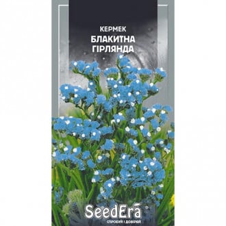 Кермен Гирлянда голубая Seedera рисунок 6