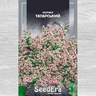 Кермек Татарський зображення 5