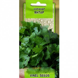 Коріандр Янтар Vinel seeds зображення 2