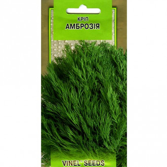 Укроп Амброзия Vinel seeds рисунок 1