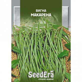 Квасоля китайська ( вигна) Макарена Seedera зображення 3