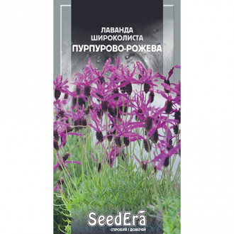 Лаванда Пурпурово-рожева, суміш забарвлень Seedera зображення 5