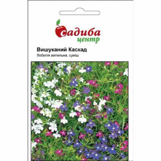 Лобелія Вишуканий каскад, суміш забарвлень Садиба центр зображення 3