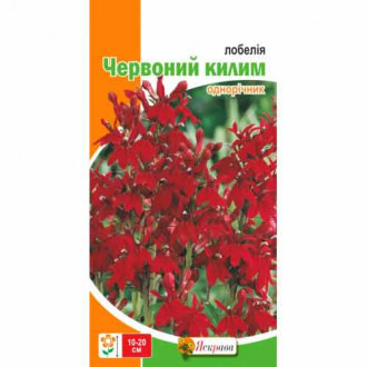 Лобелия Красный ковер рисунок 6