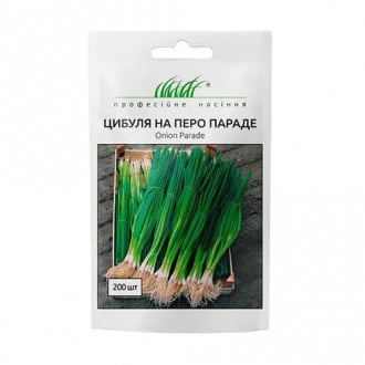 Цибуля на зелень Параде Професійне насіння зображення 6