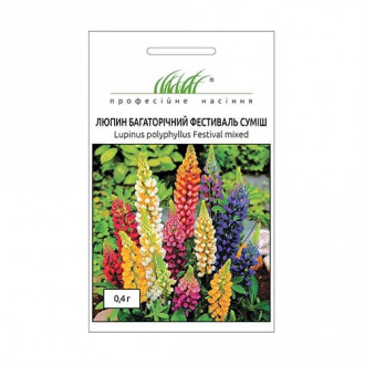 Люпин Фестиваль, суміш забарвлень Професійне насіння зображення 2