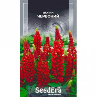Люпин красный Seedera рисунок 3