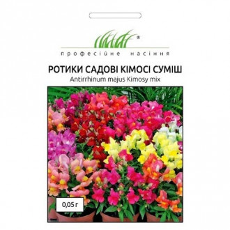 Ротики садові Кімосі, суміш забарвлень Професійне насіння зображення 1