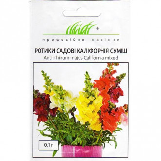 Ротики садові Веселка, суміш забарвлень Професійне насіння зображення 3