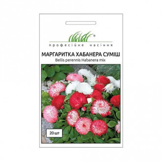 Маргаритка Хабанера, суміш забарвлень Професійне насіння зображення 5