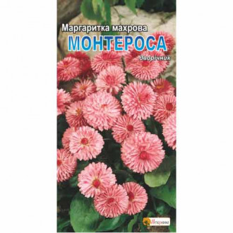 Маргаритка Монтеросса Яскрава, семена рисунок 6