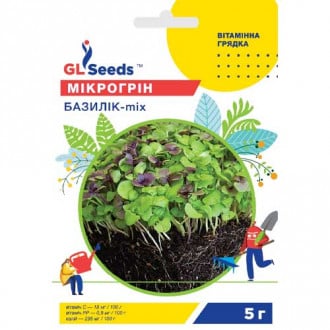 Микрогрин Базилик, смесь окрасок GL Seeds рисунок 2